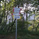 Сasa de vacaciones Ciarii Homes *
