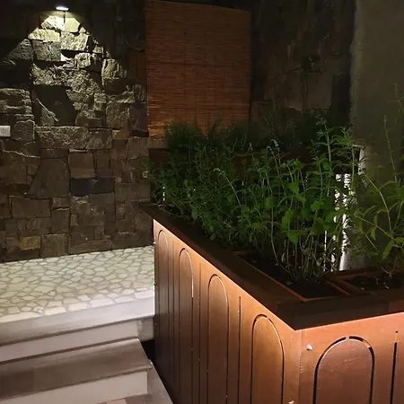 Ciarii Homes *